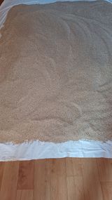 팜모닝 참깨·자유게시판 게시글 이미지