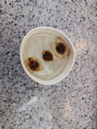 강생아빠님의 기타작물 · 자유게시판 작성글 사진