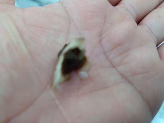 강생아빠님의 기타작물 · 자유게시판 작성글 사진