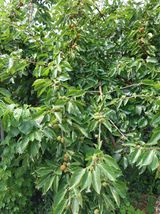 팜모닝 자유주제·자유게시판 게시글 이미지