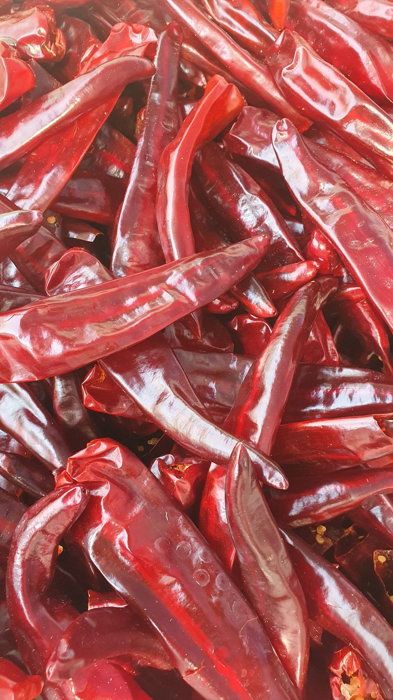 농산물에 진심구병안님의 장터 판매 상품 [고추가루 한근] 첨부 사진