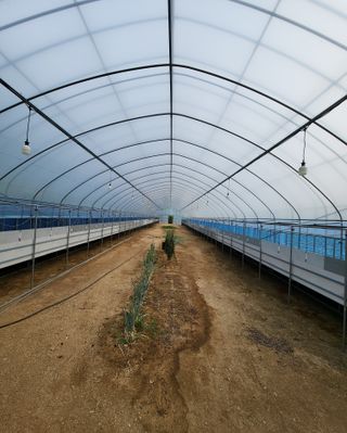 도울농장 이원용님의 콩 · 자유게시판 작성글 사진