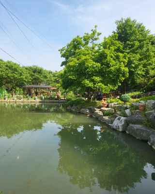 도울농장 이원용님의 콩 · 자유게시판 작성글 사진