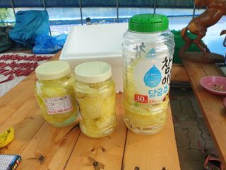 정옥성님의 자유주제 · 자유게시판 작성글 사진