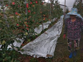 알 수 없음님의 우리동네 · 동네수다 작성글 사진