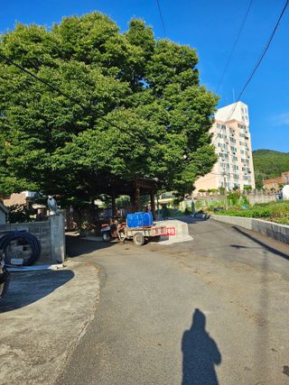 이혜안 님의 나의 농사 필수품 소개하기 · 참여글 작성글 사진