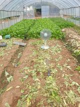 팜모닝 기타작물·자유게시판 게시글 이미지