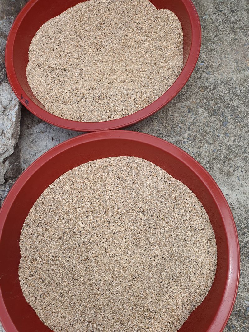 장터 상품 [참깨 ] 썸네일