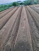 팜모닝 콩·영농일지 게시글 이미지