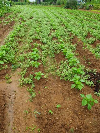 김윤성님의 나의 농사 필수품 소개하기 · 참여글 작성글 사진