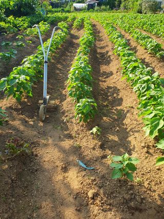 김윤성님의 나의 농사 필수품 소개하기 · 참여글 작성글 사진