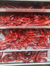 팜모닝 고추·수확 게시글 이미지