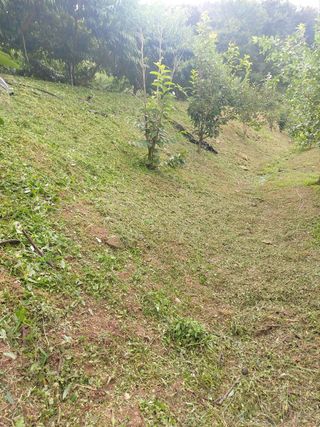 ahnda님의 복숭아 · 영농일지 작성글 사진