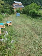 팜모닝 기타작물·영농일지 게시글 이미지