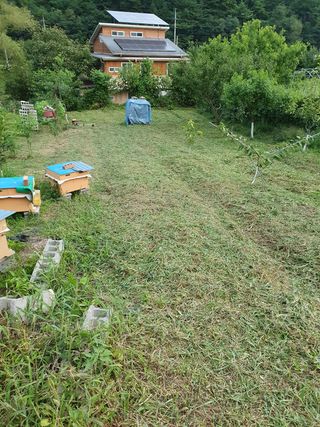 동강님의 기타작물 · 영농일지 작성글 사진