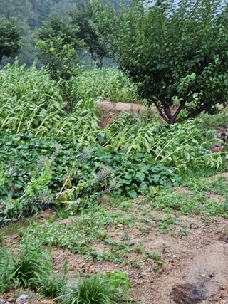 홍&이님의 자유주제 · 자유게시판 작성글 사진