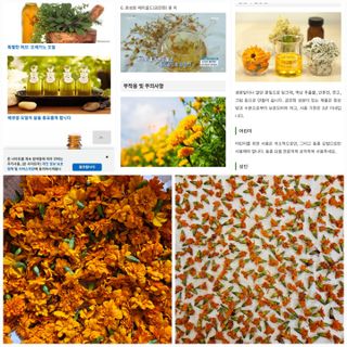 홍&이님의 자유주제 · 자유게시판 작성글 사진