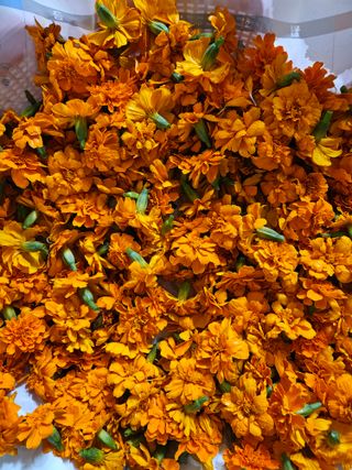 홍&이님의 자유주제 · 자유게시판 작성글 사진