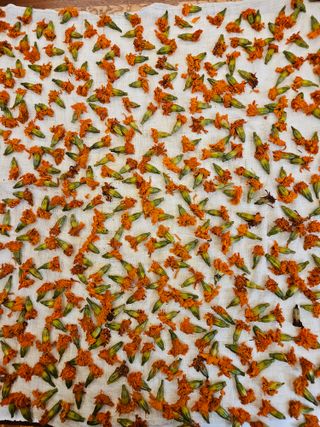 홍&이님의 자유주제 · 자유게시판 작성글 사진