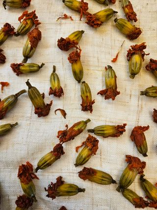 홍&이님의 자유주제 · 자유게시판 작성글 사진