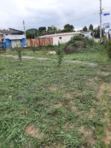 팜모닝 매실·영농일지 게시글 이미지