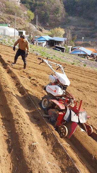 이일철 조이산골님의 나의 농사 필수품 소개하기 · 참여글 작성글 사진