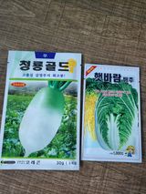 팜모닝 자유주제·자유게시판 게시글 이미지