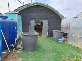 윤은성님의 자유주제 · 자유게시판 작성글 사진