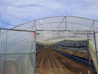 윤은성님의 자유주제 · 자유게시판 작성글 사진