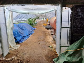 윤은성님의 자유주제 · 자유게시판 작성글 사진