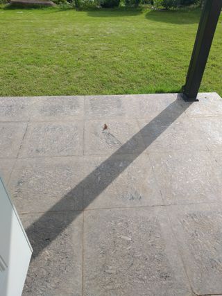 심무재 님의 자유주제 · 자유게시판 작성글 사진