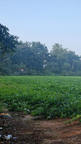 김동수님의 자유주제 · 자유게시판 작성글 사진
