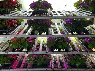 김동수님의 자유주제 · 자유게시판 작성글 사진