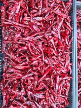 팜모닝 고추·저장•가공 게시글 이미지