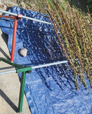 김중언님의 콩 · 자유게시판 작성글 사진