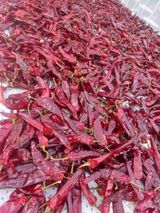 팜모닝 고추·시세•판로 게시글 이미지