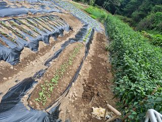 귀촌인정찬영님의 나의 농사 필수품 소개하기 · 참여글 작성글 사진