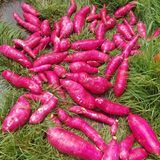 팜모닝 우리동네·동네수다 게시글 이미지