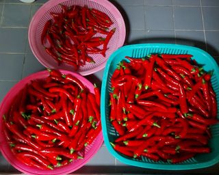 osm님의 우리동네 · 동네수다 작성글 사진