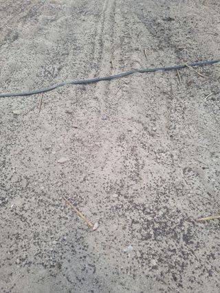 호미대장님의 배추 · 토양준비 작성글 사진