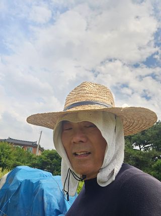 감자1963초보농부님의 자유주제 · 자유게시판 작성글 사진