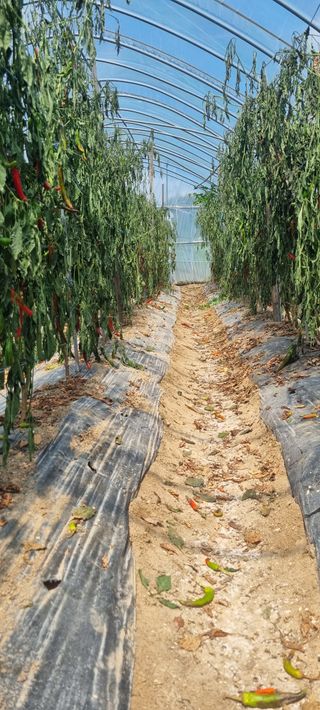 남부농원님의 나의 농사 필수품 소개하기 · 참여글 작성글 사진