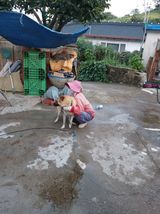 팜모닝 나의 농사 필수품 소개하기·참여글 게시글 이미지