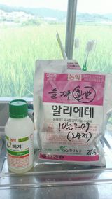 팜모닝 들깨·영농일지 게시글 이미지