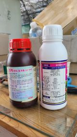 팜모닝 기타작물·영농일지 게시글 이미지