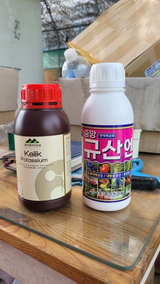 강성태 님의 기타작물 · 영농일지 작성글 사진