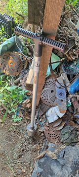 팜모닝 고구마·자유게시판 게시글 이미지