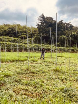 김회철님의 기타작물 · 영농일지 작성글 사진