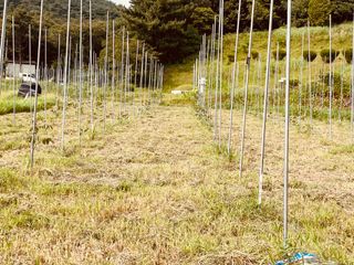 김회철님의 기타작물 · 영농일지 작성글 사진