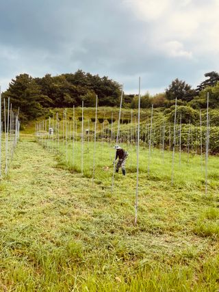 김회철님의 기타작물 · 영농일지 작성글 사진